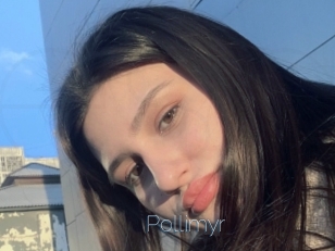 Pollimyr