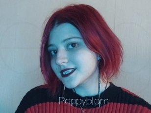 Poppyblom