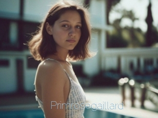Primrosegaillard