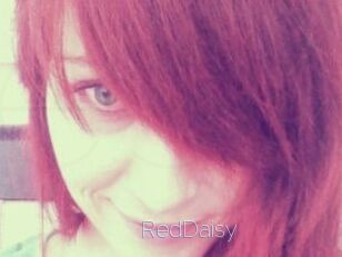 RedDaisy