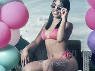 Rileynacci