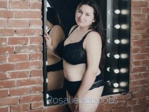 Rosaliebigboobs