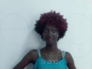 Shandy