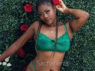 Sachahents