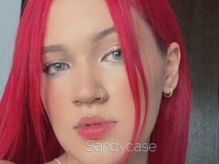 Sandycase