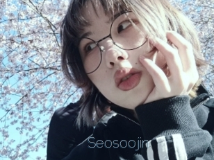 Seosoojin