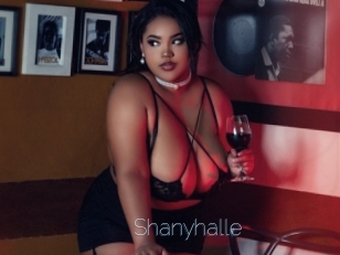 Shanyhalle
