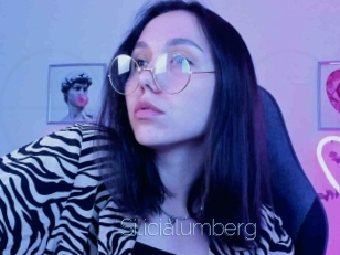 Silicialumberg