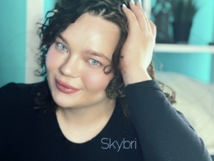 Skybri