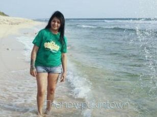 Thenewpukiintown