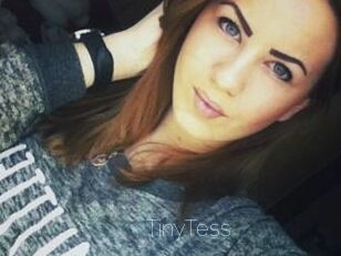 TinyTess