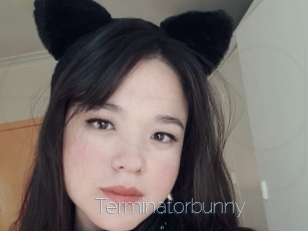 Terminatorbunny