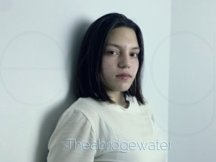 Theabridgewater