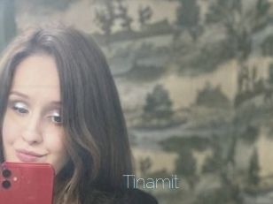 Tinamit