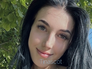 Tinascot