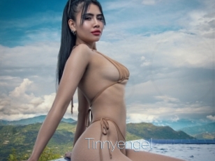 Tinnyengel