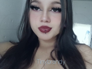 Tinybrandy