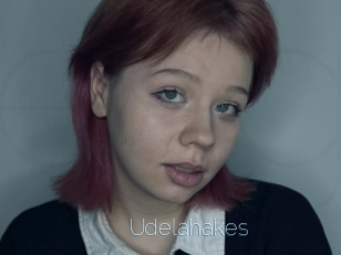 Udelahakes