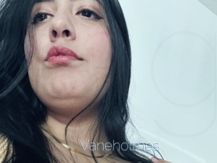 Vaneholmes