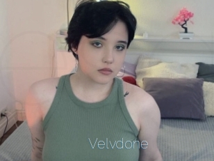 Velvdone