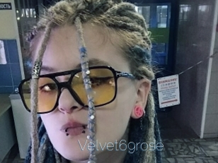 Velvet69rose