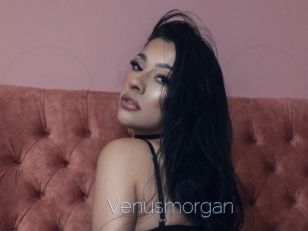 Venusmorgan