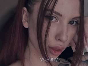 Voytiny