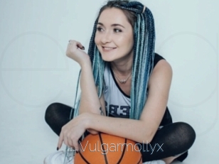 Vulgarmollyx