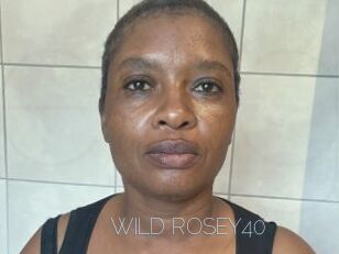 WILD_ROSEY40