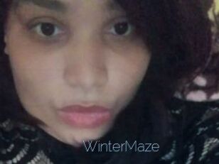 Winter_Maze