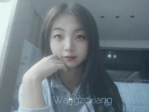 Wangzcxiang