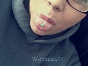 Wetpussy210