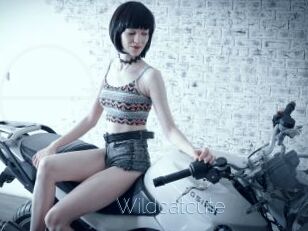 Wildcatcute