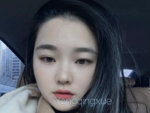 Yangqingxue