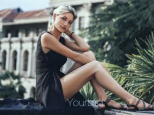 Yourbird