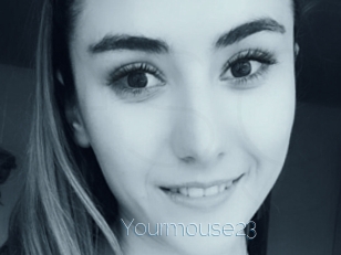 Yourmouse23